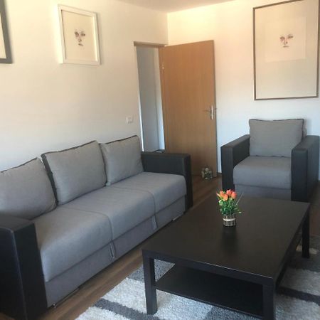 Apartament Belvedere Călimăneşti Exterior foto
